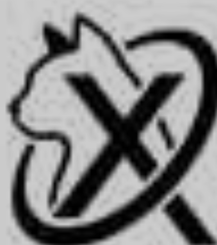 $XCAT